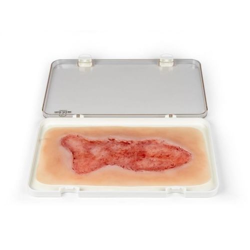 Simulador de tratamento de feridas - PW003C - Erler-Zimmer - para enfermagem / pad