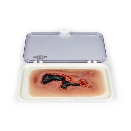 Simulador de tratamento de feridas - PW004A - Erler-Zimmer - para enfermagem / pad