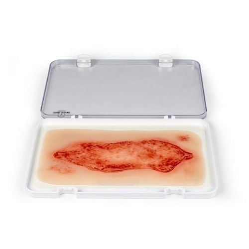 Simulador de tratamento de feridas - PW005C - Erler-Zimmer - para enfermagem / pad