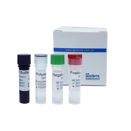 Kit de teste de varíola dos macacos - GPCR1300 series - Goldsite Diagnostics Inc. - para doenças infecciosas / de soro / para RT-PCR