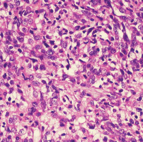 Reagente solução de coloração - 01HEMM1000 - Histo-Line Laboratories - corante / para histologia / líquido