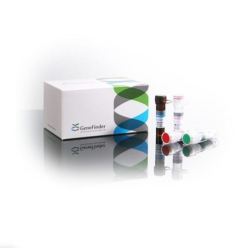 Kit de teste de tuberculose - GeneFinder™  - OSANG Healthcare - de complexo Mycobacterium tuberculosis / de Mycobacterium tuberculosis / de micobactérias