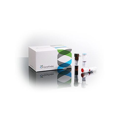 Kit de teste de doenças inflamatórias - GeneFinder™ - OSANG Healthcare - para gene HLA-B / de sangue total / ambiental