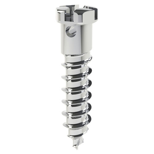 Mini-implante em titânio - DualTop - G1  - Jeil Medical Corporation - de parafuso / de ancoragem ortodôntica / autorrosqueante