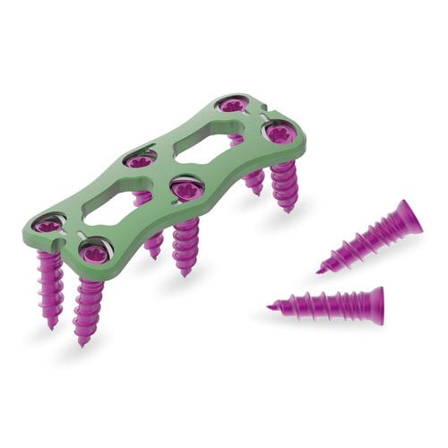 Placa para artrodese cervical - Flex Wing - Jeil Medical Corporation - bloqueada / em titânio / 2 níveis