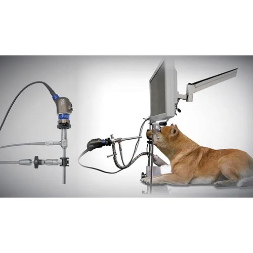 Cabeça de câmera veterinária - VITOM® 25 - KARL STORZ - para cirurgia aberta / analógica / HD