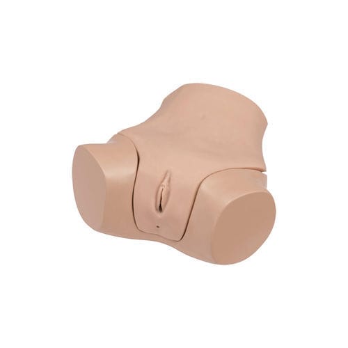 Simulador para treinamento - LM-110 - KOKEN  - de palpação retal / para ginecologia / de mulher