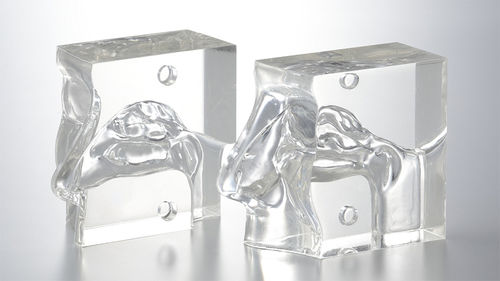 Modelo anatômico sinusal - LM-005 - KOKEN  - nasal / para ensino / transparente