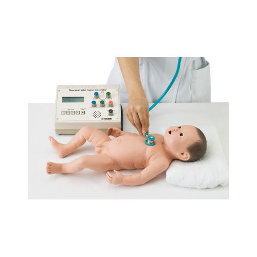 Simulador para treinamento - LM-098  - KOKEN  - de sutura / de palpação / de auscultação