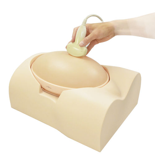Manequim de treinamento para obstetrícia - US-7a - Kyoto Kagaku  - obstétrico-ginecológico / para ecografia / de gravidez