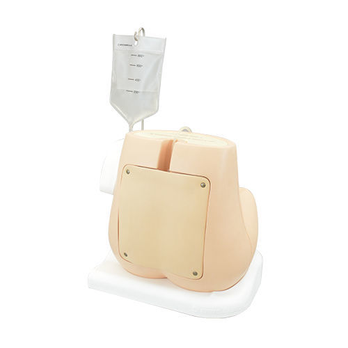 Simulador de punção lombar - M43B - Kyoto Kagaku  - para treinamento / de palpação / de anestesia peridural
