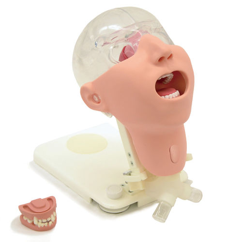 Simulador de paciente para procedimentos odontológicos - MW29 - Kyoto Kagaku  - de cabeça