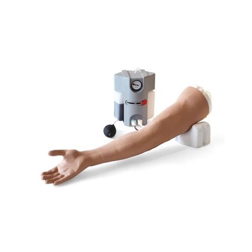 Simulador para punção venosa - 70300 - Limbs & Things - para injeções intravenosas / de infusão / para treinamento