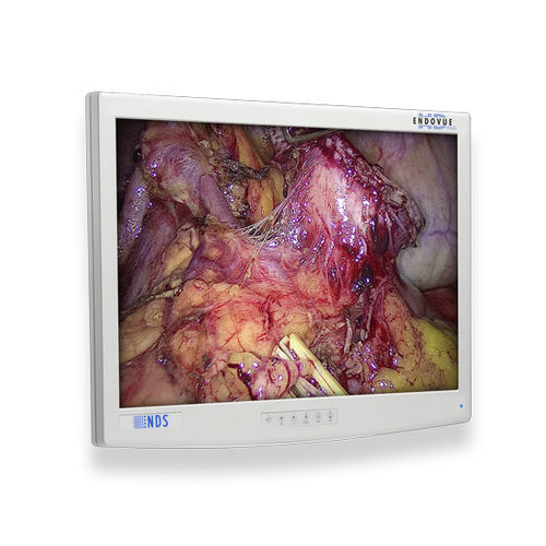 Monitor médico-hospitalar - EndoVue Plus - NDS Surgical Imaging - para endoscopia / de alta definição / 24"