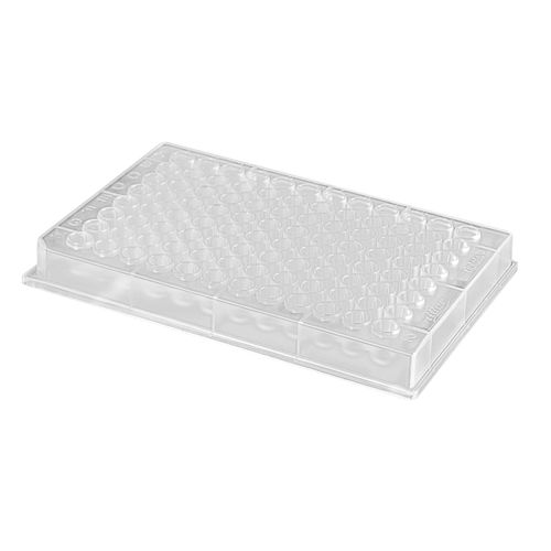 Microplaca para laboratório - riplate® 96 - Ritter Medical - de fluorescência / para armazenamento de amostras / com 96 poços