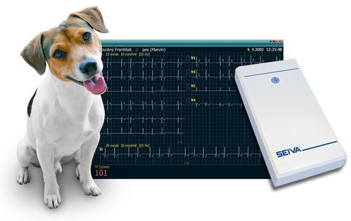 Sistema de ECG veterinário de 12 canais - Seiva