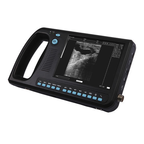 Ultrassom veterinário de bolso - WED-3000V - Shenzhen Well.D Medical Electronics - multiuso / para equídeos / para suínos
