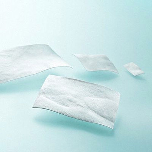 Substituto de dura-máter xenoenxerto - LYOPLANT&reg; - Aesculap®