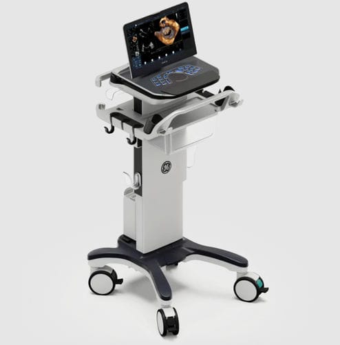Aparelho de ultrassom móvel - Vivid™ iq - GE Healthcare - cardiovascular / em preto e branco / com Doppler colorido