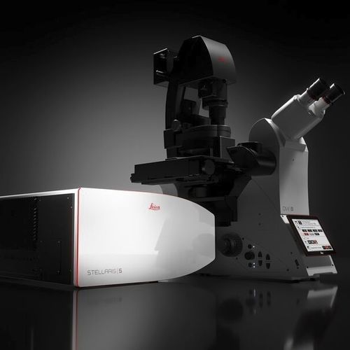 Microscópio óptico - STELLARIS series - Leica Microsystems - de laboratório / para ciências da vida / FLIM
