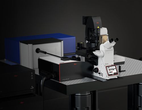 Microscópio CARS - STELLARIS CRS  - Leica Microsystems - óptico / Raman / para biologia