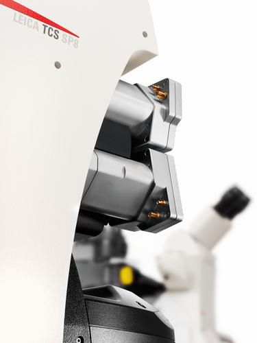 Microscópio óptico - TCS SP8 - Leica Microsystems - de laboratório / vertical / confocal de varredura a laser