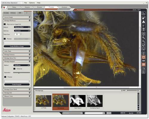 Software de visualização - LAS Montage - Leica Microsystems - de arquivamento / de análise / médico-hospitalar