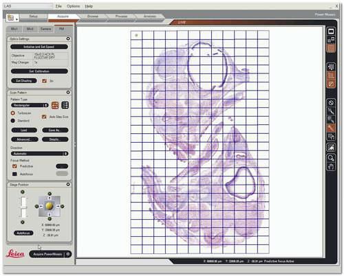 Software de visualização - LAS Power Mosaic - Leica Microsystems - de arquivamento / de análise / médico-hospitalar