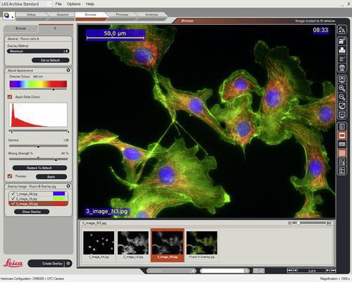 Software de visualização - LAS Image Overlay - Leica Microsystems - de arquivamento / de análise / médico-hospitalar