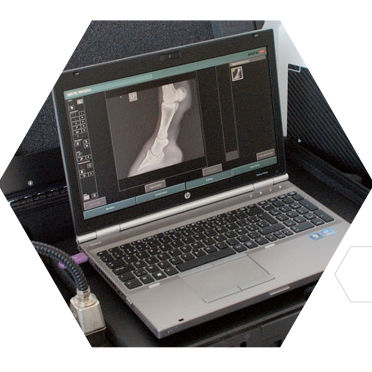 Sistema de aquisição de imagens para radiografia veterinária - MUSICA DR - AGFA - portátil