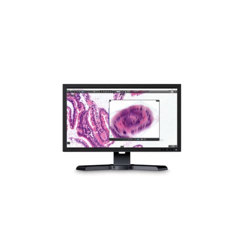 Software de análise - CaseViewer - Sysmex Europe - visualizador / médico-hospitalar / para tablet