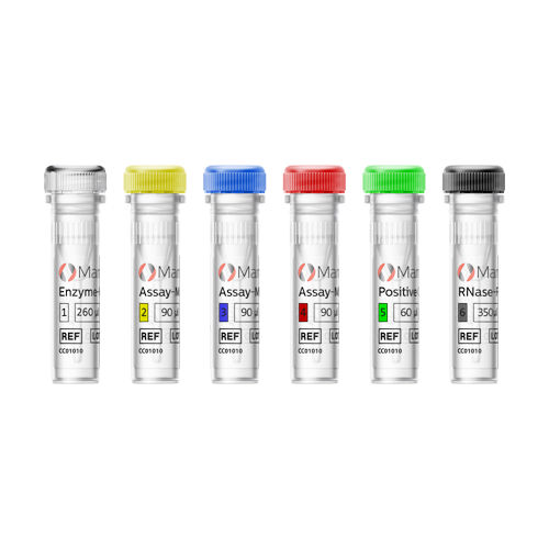 Teste rápido para câncer da mama - MammaTyper®  - Sysmex Europe - para oncologia / para mulher / de progesterona