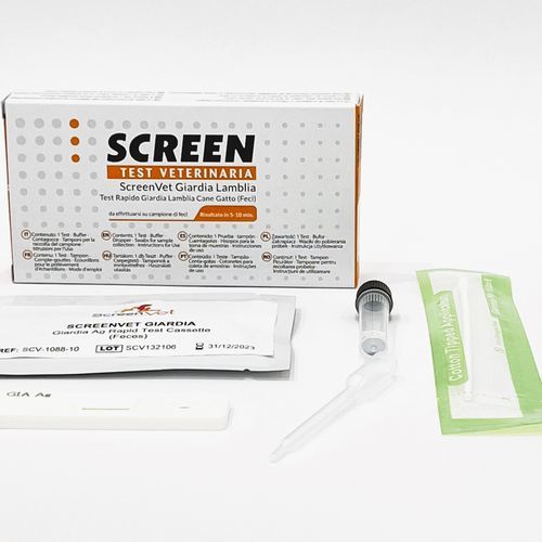 Teste rápido para doenças infecciosas - 984705778 - SCREEN ITALIA - veterinário / de antígeno / de Giardia lamblia