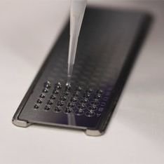 Lâmina de microscópio - FlexiFocus™ - Shimadzu
