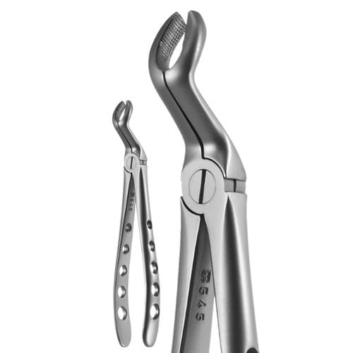 Fórceps odontológico para molares - 6701 - A. Titan Instruments - modelo americano