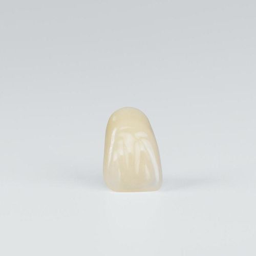 Prótese dentária em acrílico - Preference Acrylic - Candulor - para dentes anteriores / para dentes posteriores