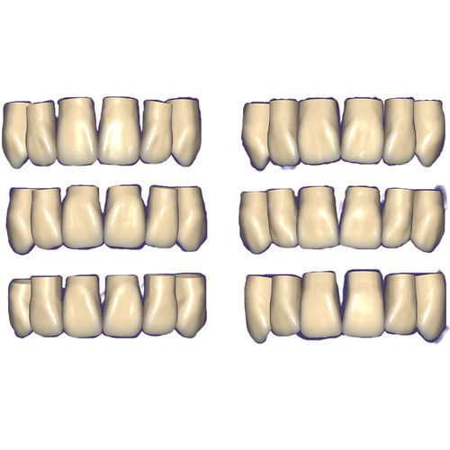 Módulo de software CAD - Tooth Library - exocad GmbH   - odontológico / de dentes / de maxilares