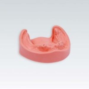 Modelo anatômico de maxilares - B-3 CSPJW UK 99-002 - frasaco - para implantodontia / para treinamento