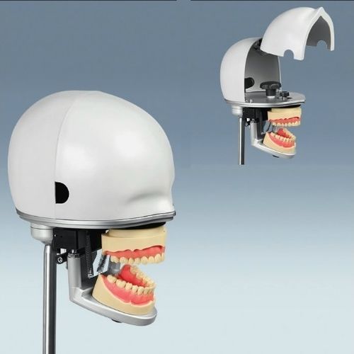 Manequim de treinamento para procedimentos odontológicos - PK-2 - frasaco - de cabeça