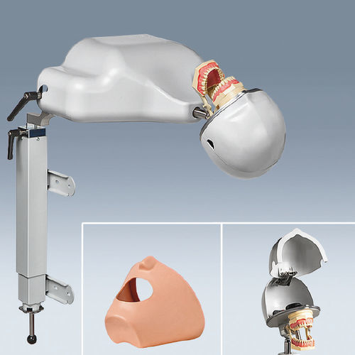 Simulador de paciente para procedimentos odontológicos - PK-1 TL - frasaco - de cabeça