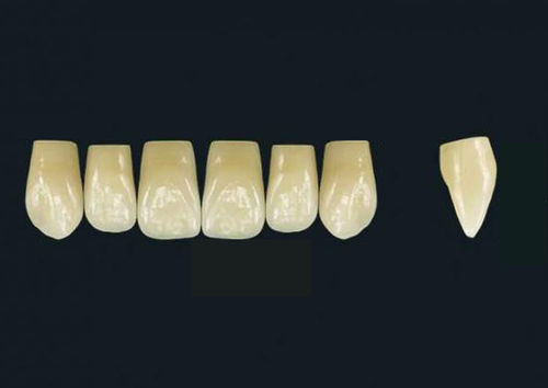 Prótese dentária em polímero acrílico - TRIBOS 501 VT76-UJ-C2 - GEBDI Dentalproducts GmbH   - para dentes anteriores