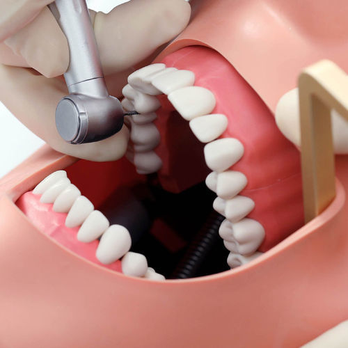 Simulador para treinamento - SimEx Plus - EPED - odontológico / de parte superior do corpo / estação de trabalho
