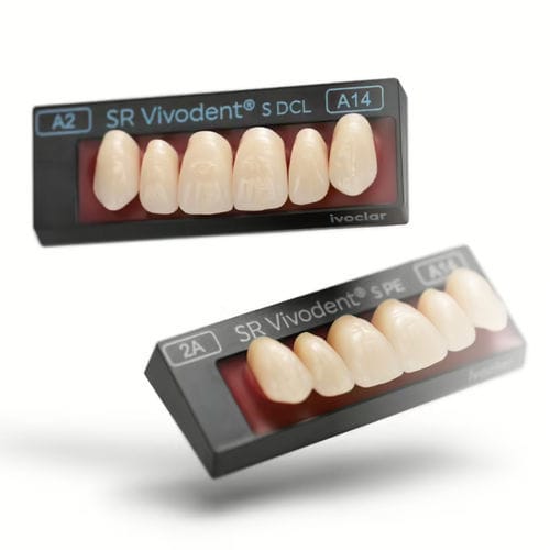 Prótese dentária em PMMA - SR Vivodent S PE - Ivoclar Vivadent - pré-fabricada / anatômica