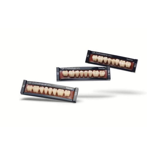 Prótese dentária em PMMA - SR Vivodent DCL - Ivoclar Vivadent - de resina / anatômica / removível