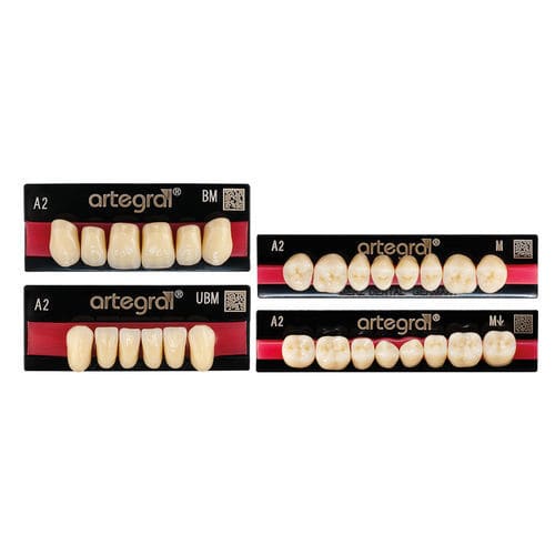 Prótese dentária em PMMA - artegral®  - Merz Dental GmbH   - para dentes anteriores / para dentes posteriores / pré-fabricada