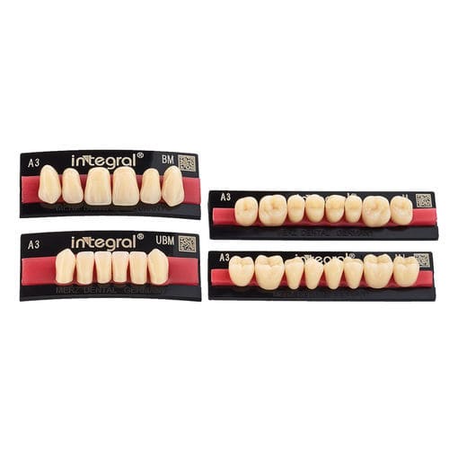 Prótese dentária em PMMA - integral® - Merz Dental GmbH   - para dentes anteriores / para dentes posteriores / anatômica