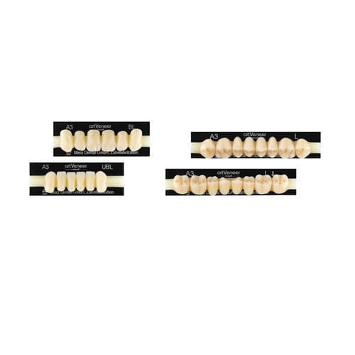 Prótese dentária em acrílico - artVeneer® - Merz Dental GmbH   - em PMMA / incisiva / para dentes anteriores