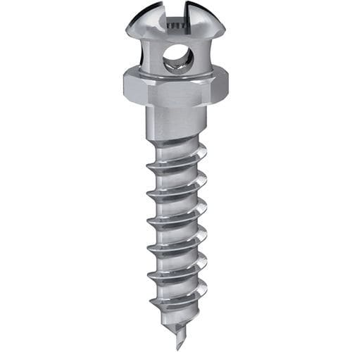 Implante dentário cônico - LINK - MIS Implants Technologies Ltd.   - em titânio / externo / de ancoragem ortodôntica