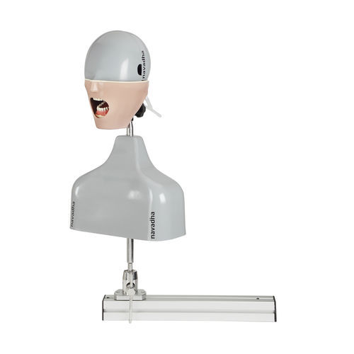Simulador de paciente para procedimentos odontológicos - NA225 - Navadha Enterprises  