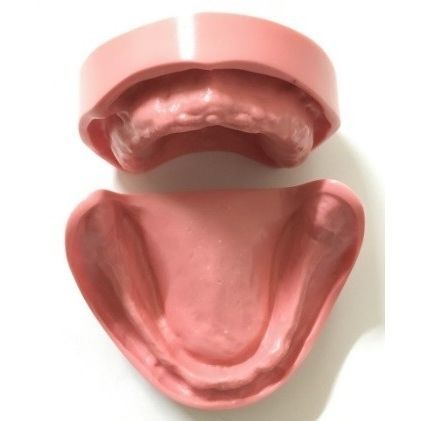 Modelo anatômico odontológico - SP064 - Navadha Enterprises   - para prótese dentária / para treinamento / de resina